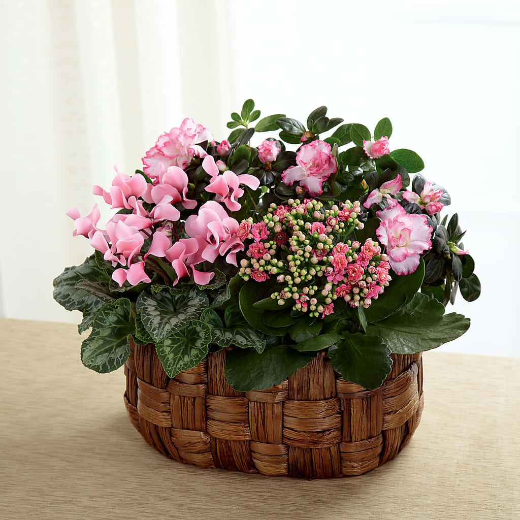 Pink Assortment – Flowers By Josie, Grayling MI