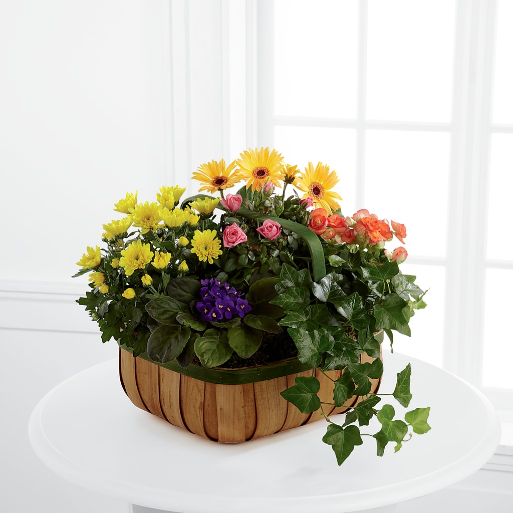 Gentle Blossoms Basket – Flowers By Josie, Grayling MI