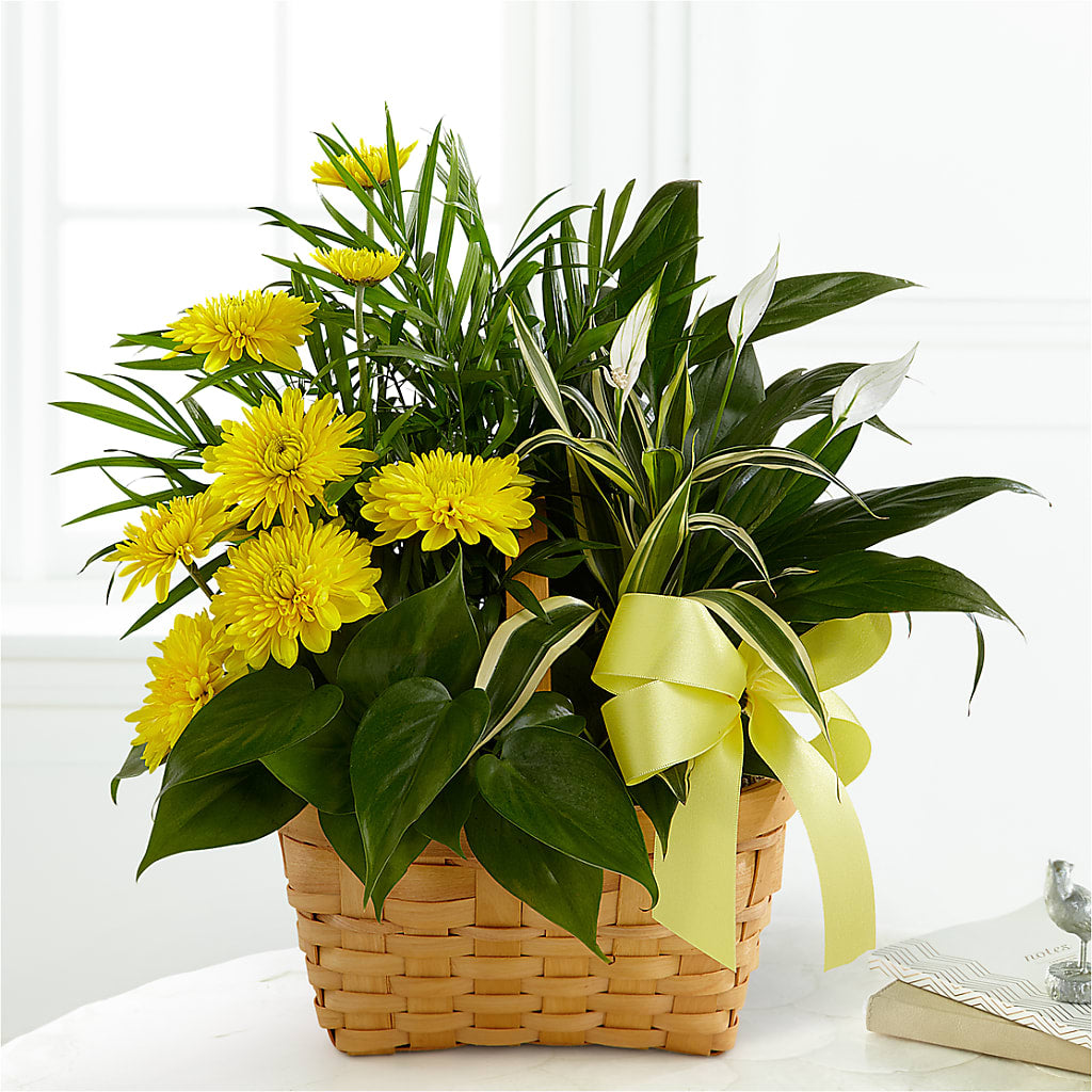 Loving Light Dishgarden – Flowers By Josie, Grayling MI