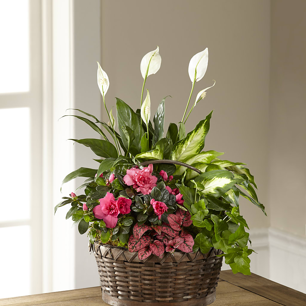 Dream in Pink Dishgarden – Flowers By Josie, Grayling MI