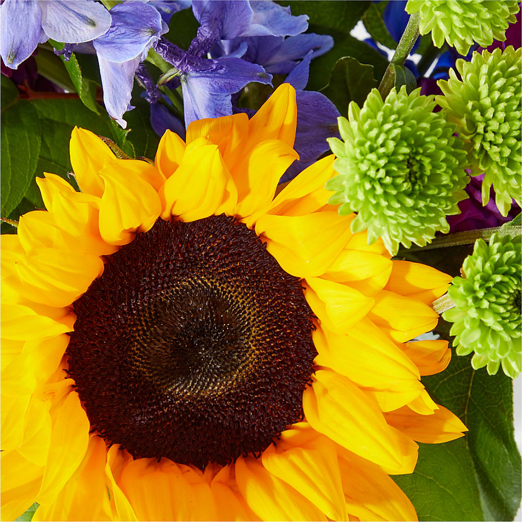 Catching Rays Bouquet – Flowers By Josie, Grayling MI