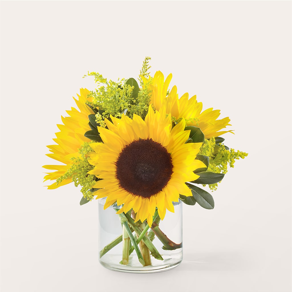 Beaming Sunflower Bouquet – Flowers By Josie, Grayling MI