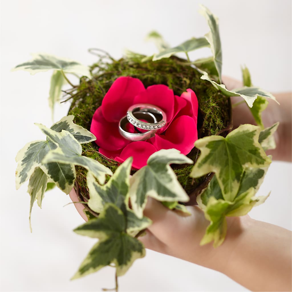 Lila Rose Ring Nest – Flowers By Josie, Grayling MI