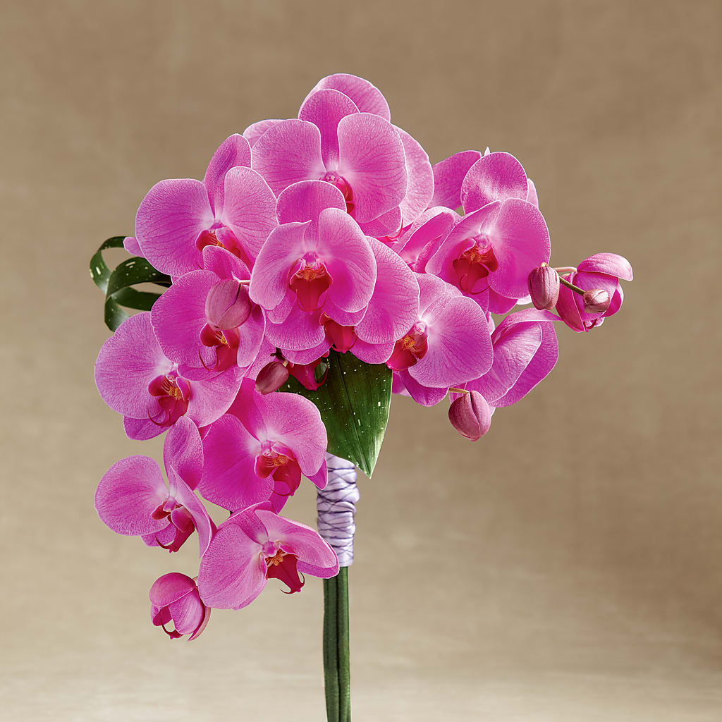 Glorious Bouquet – Flowers By Josie, Grayling MI