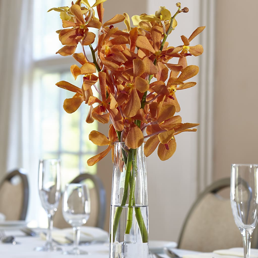 Orange Mokara Bud Vase – Flowers By Josie, Grayling MI