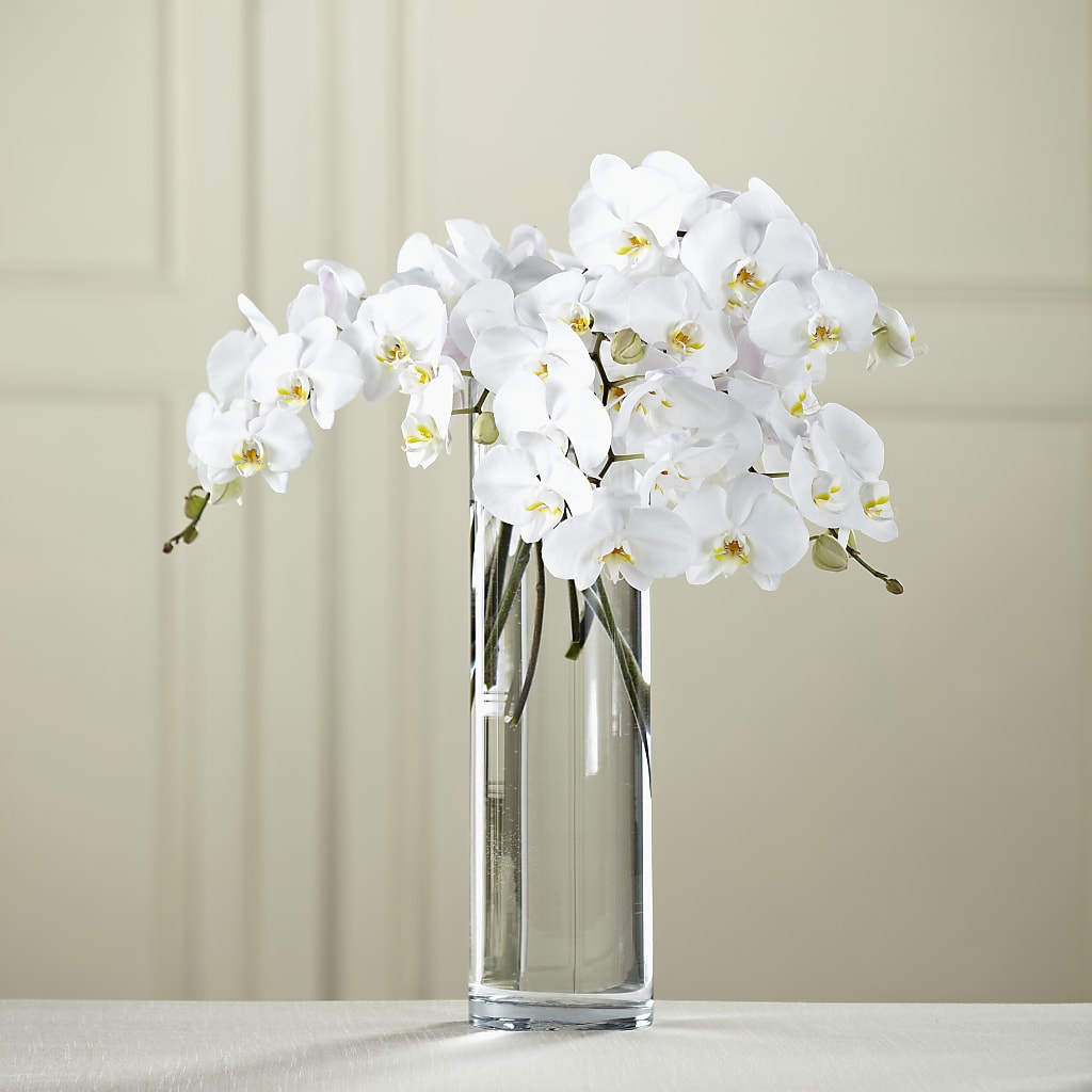 White Phalaenopsis Bouquet – Flowers By Josie, Grayling MI