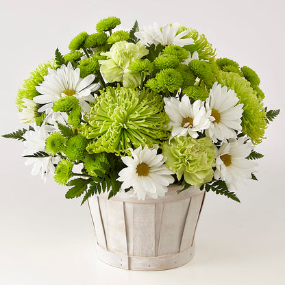 Lucky Charm Basket (Standard) –  Flowers By Josie, Grayling MI