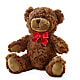 Adorable Plush Bear –  Flowers By Josie, Grayling MI
