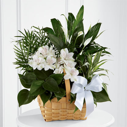 Peace & Serenity Dishgarden –  Flowers By Josie, Grayling MI