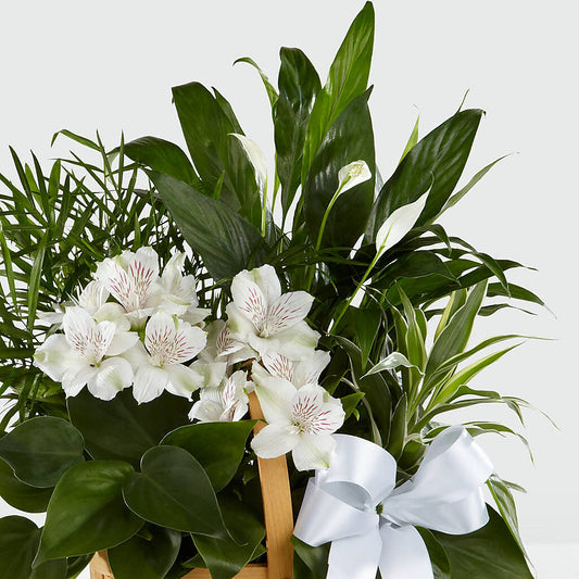 Peace & Serenity Dishgarden –  Flowers By Josie, Grayling MI