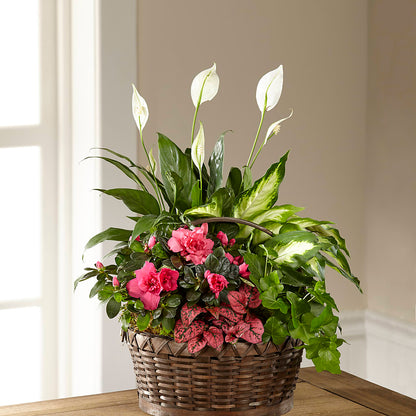 Dream in Pink Dishgarden –  Flowers By Josie, Grayling MI