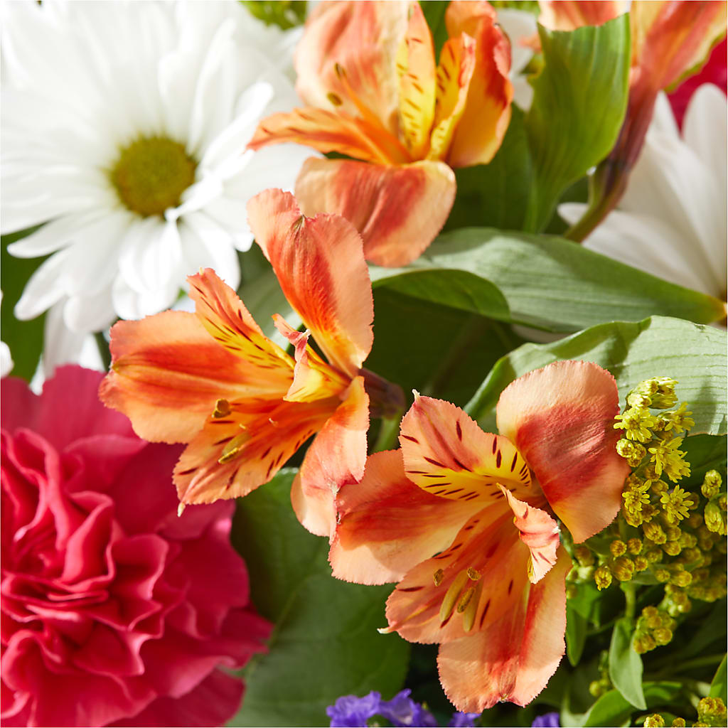Oopsie Daisy Box Bouquet –  Flowers By Josie, Grayling MI