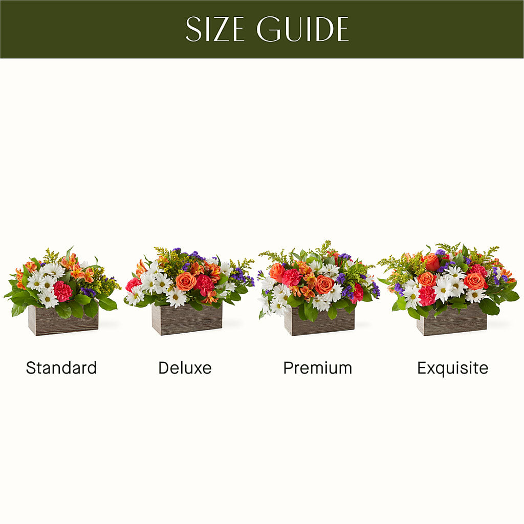 Oopsie Daisy Box Bouquet –  Flowers By Josie, Grayling MI
