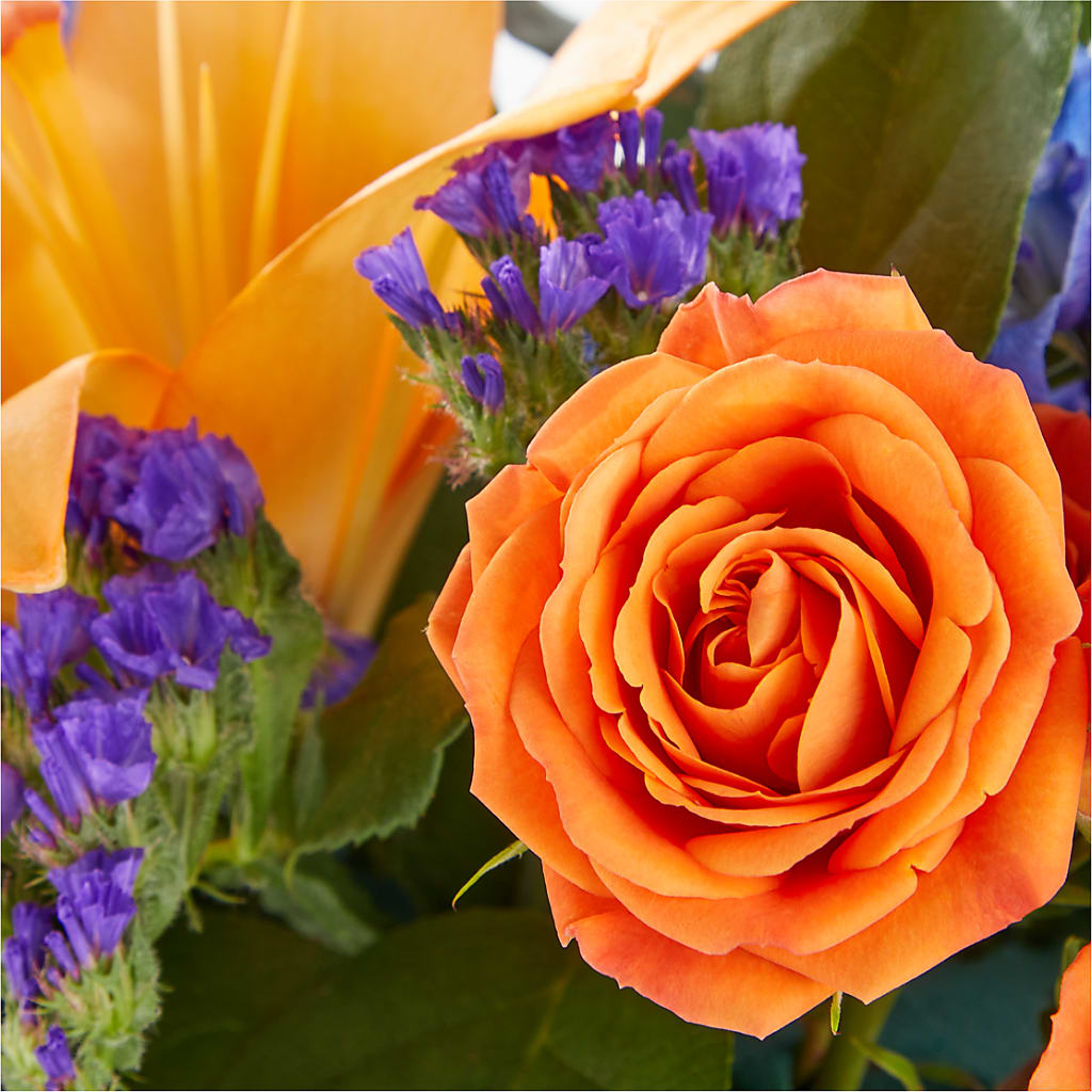 Radiant Citrus Box Bouquet –  Flowers By Josie, Grayling MI