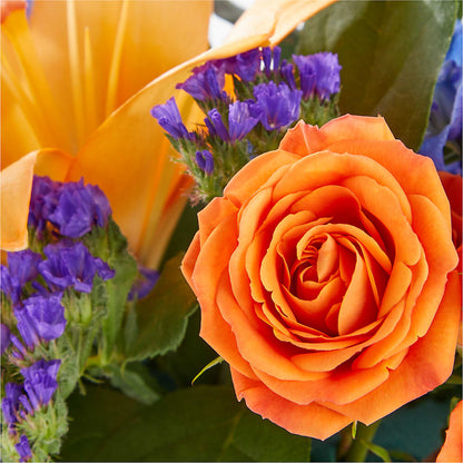 Radiant Citrus Box Bouquet –  Flowers By Josie, Grayling MI