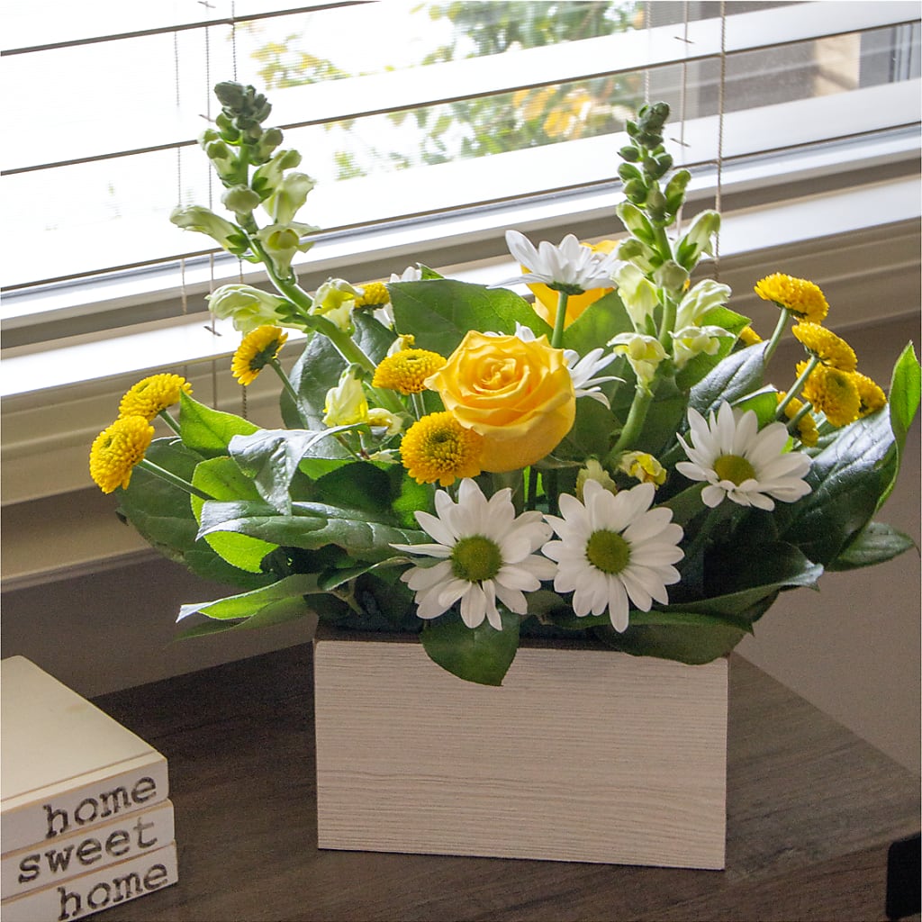 Sun Salutation Box Bouquet –  Flowers By Josie, Grayling MI