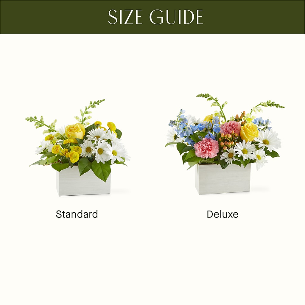 Sun Salutation Box Bouquet –  Flowers By Josie, Grayling MI
