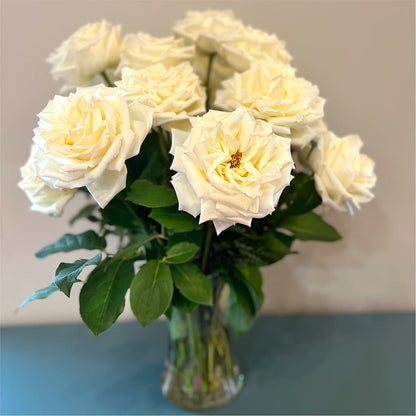 Long Stem Yellow Rose Bouquet –  Flowers By Josie, Grayling MI