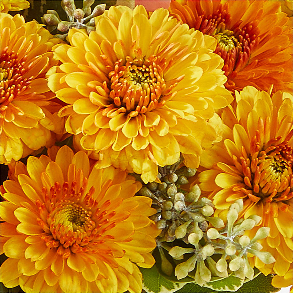 Peachy Pumpkin –  Flowers By Josie, Grayling MI
