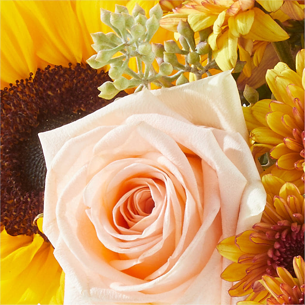 Pumpkin to Talk About Bouquet –  Flowers By Josie, Grayling MI