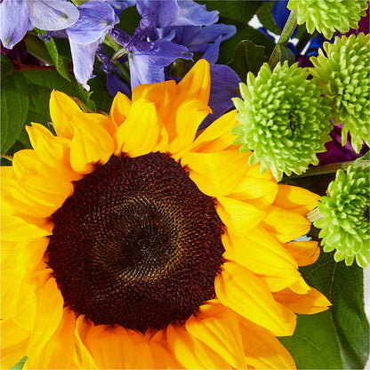 Catching Rays Bouquet –  Flowers By Josie, Grayling MI