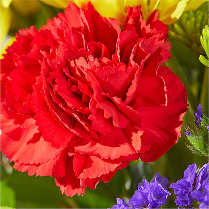 Brighter Days Bouquet –  Flowers By Josie, Grayling MI