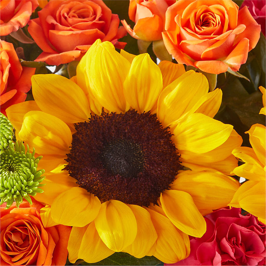 Sun-drenched Blooms Box Bouquet –  Flowers By Josie, Grayling MI