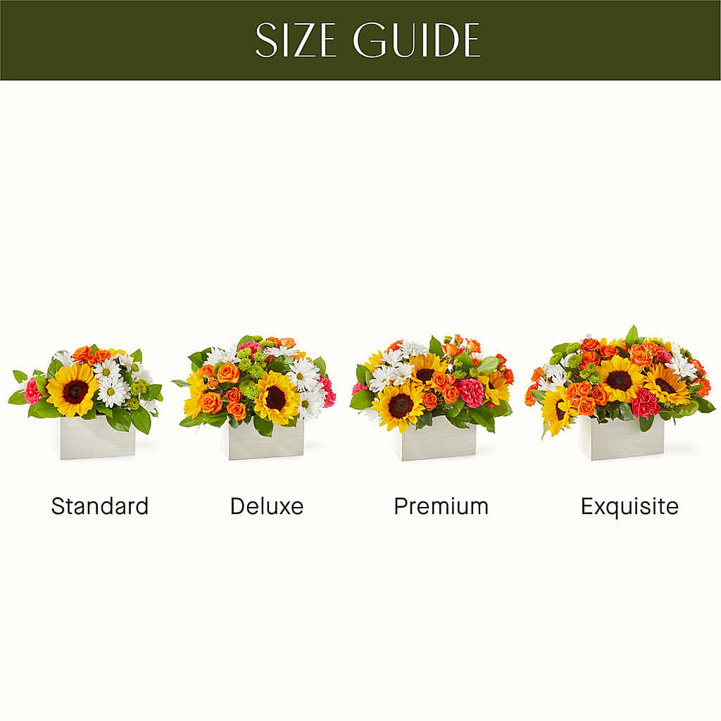 Sun-drenched Blooms Box Bouquet –  Flowers By Josie, Grayling MI