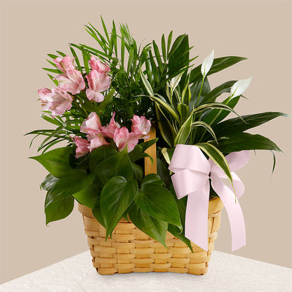 Living Spirit Dishgarden –  Flowers By Josie, Grayling MI