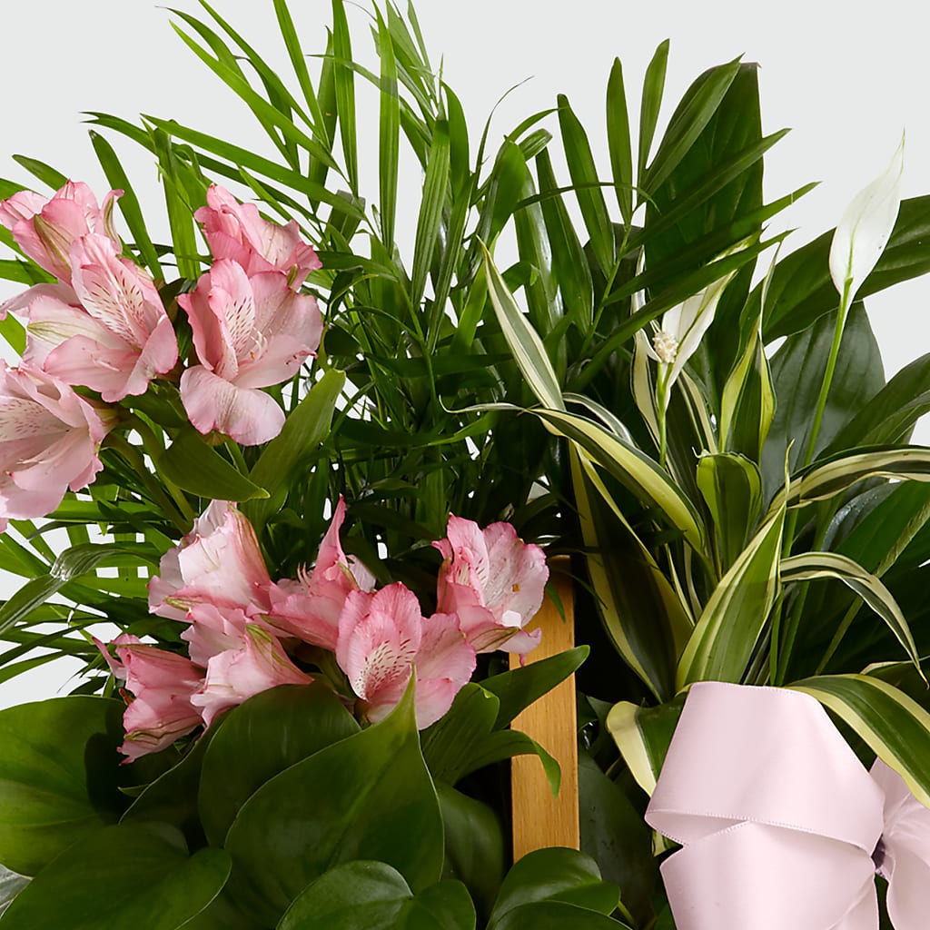 Living Spirit Dishgarden –  Flowers By Josie, Grayling MI