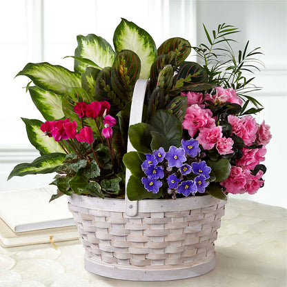 Peaceful Garden Planter –  Flowers By Josie, Grayling MI