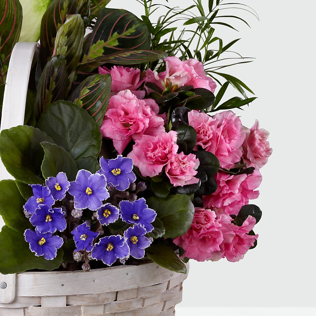 Peaceful Garden Planter –  Flowers By Josie, Grayling MI