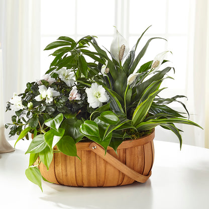 Serene Dishgarden –  Flowers By Josie, Grayling MI