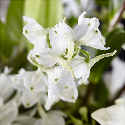 Classic Ivory – A Florist Original –  Flowers By Josie, Grayling MI