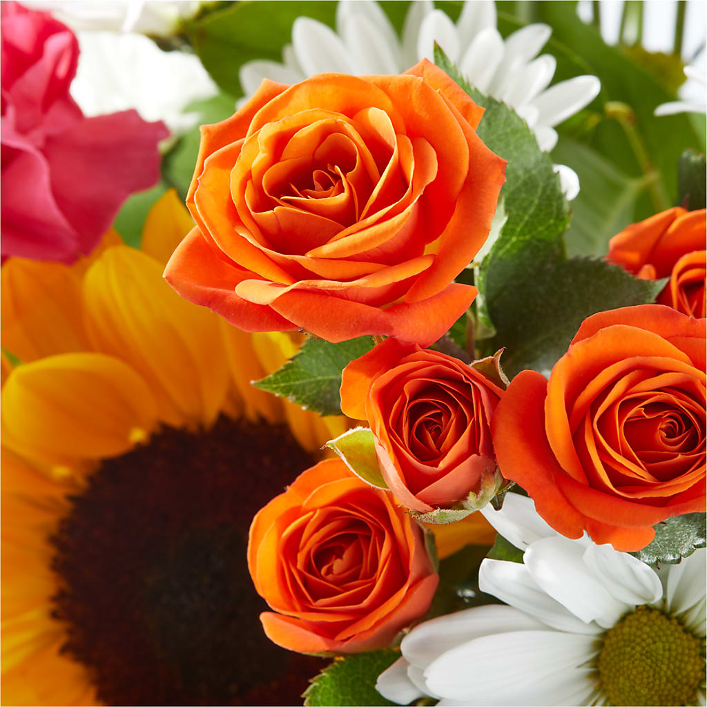 Sun-drenched Blooms Bouquet –  Flowers By Josie, Grayling MI