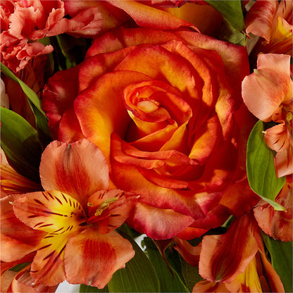 Apricot Glow Bouquet –  Flowers By Josie, Grayling MI