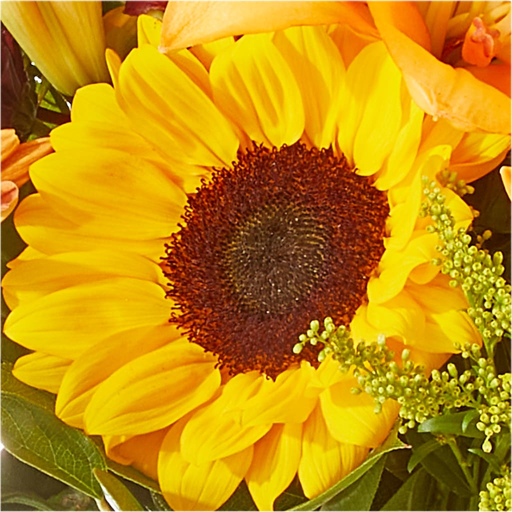 Seasons Change Bouquet –  Flowers By Josie, Grayling MI