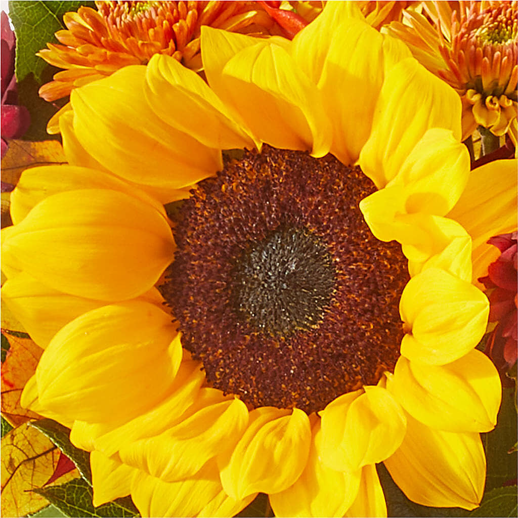 Sunny Side Bouquet –  Flowers By Josie, Grayling MI