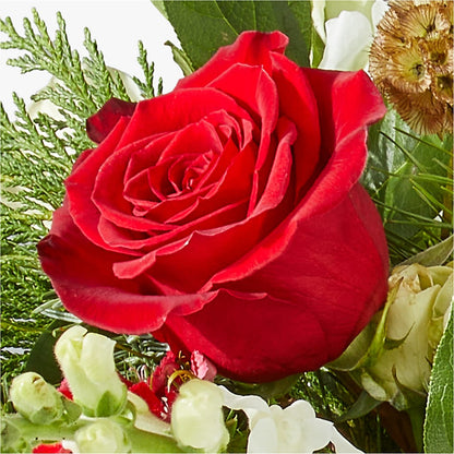 Deck the Halls Bouquet –  Flowers By Josie, Grayling MI