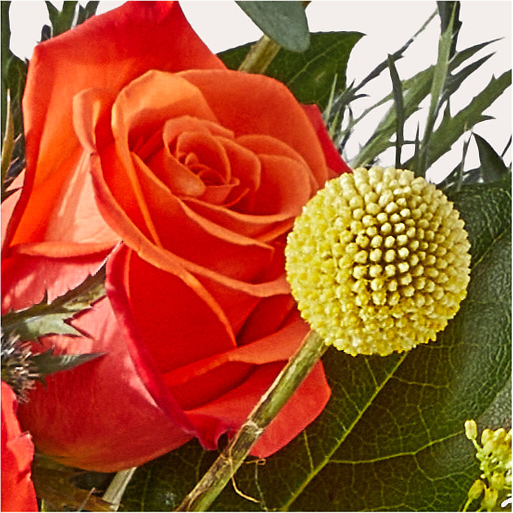 Disco Bouquet –  Flowers By Josie, Grayling MI