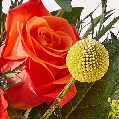 Disco Bouquet –  Flowers By Josie, Grayling MI