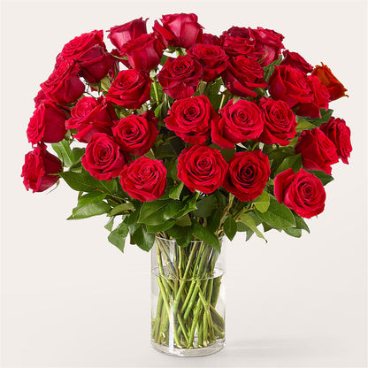 The One Red Rose Bouquet –  Flowers By Josie, Grayling MI
