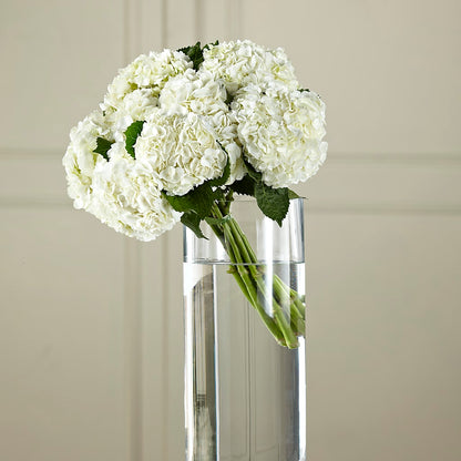White Hydrangea Hand-Tied Bouquet –  Flowers By Josie, Grayling MI
