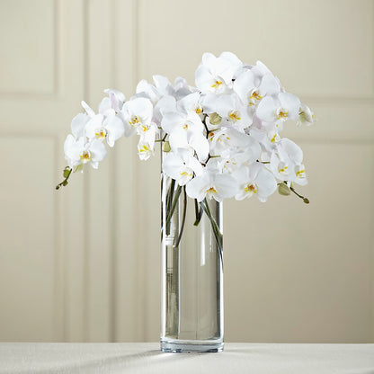 White Phalaenopsis Bouquet –  Flowers By Josie, Grayling MI